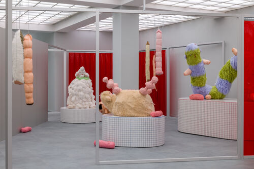Ausstellungsansicht mit mehreren weichen, skulpturalen Figuren aus Kunstfell und Textilien in Pastellfarben. Die fantasievollen Formen stehen auf runden Podesten oder hängen von der Decke herab. Rote transparente Raumteiler, graue Wände und ein helles Rasterdeckenlicht prägen die Installation. Die Skulpturen erinnern an abstrakte Wesen oder organische Körperformen und sind im Raum verteilt angeordnet.