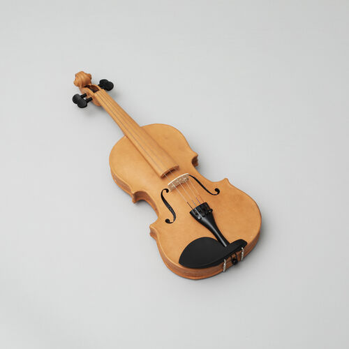 Eine Akustikgitarre in Leder auf weißen Hintergrund.